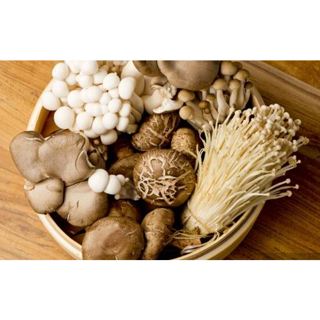 Kit e/ou Seringa (micélio ou esporos) de cultivo de Cogumelo Caseiro - Orgânico e Vegano em Oferta na Shopee