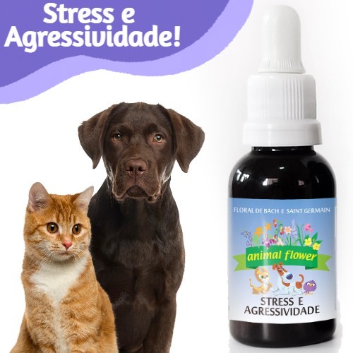 Floral De Bach Original para PET Cachorro Gato - Estresse e Agressividade 30ml Gotas em Oferta na Shopee