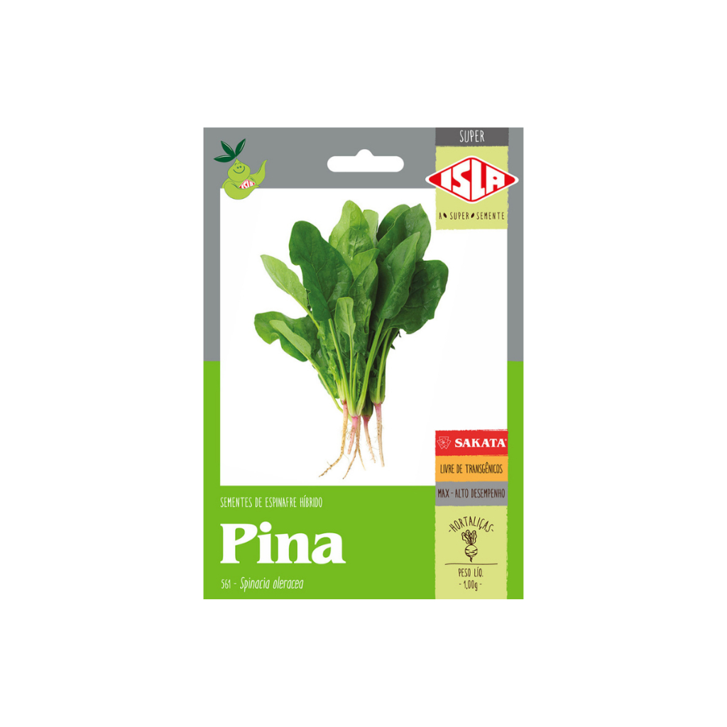 Sementes de Espinafre Hibrido Pina Envelope C/ 1grama de Sementes