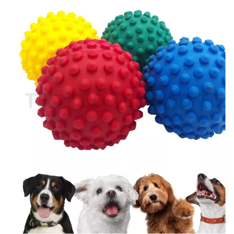 2 Bolinhas Cravo Pet Fisioterapia Pula Cachorro Anti Stress em Oferta na Shopee