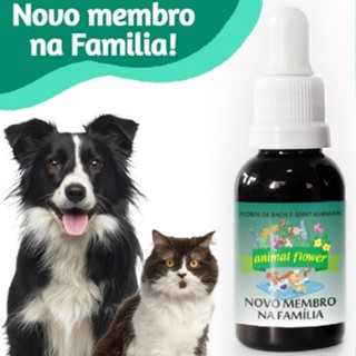 Ciúmes Adaptação Com Novo Membro Na Família - Floral de Bach Pet- 30 ML em Oferta na Shopee