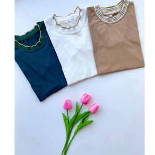 Blusa T-shirt Camiseta Babylook Blusinha Básica Lisa em Oferta na Shopee