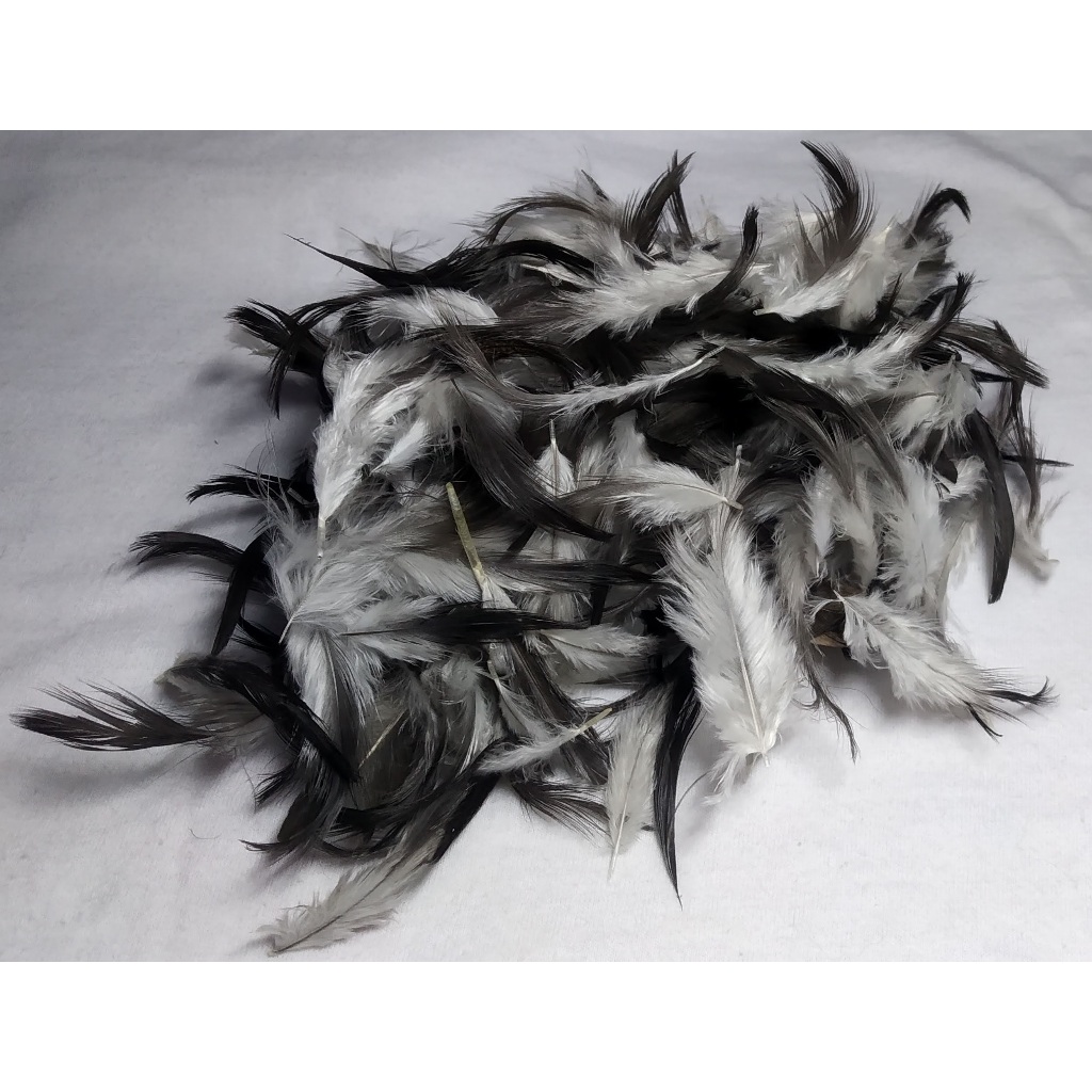 Pena Para Artesanato Natural 200uni.