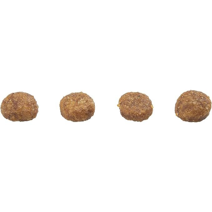 Detalhes do Ração Gran Plus Gatos Filhotes Frango e Arroz - 3Kg