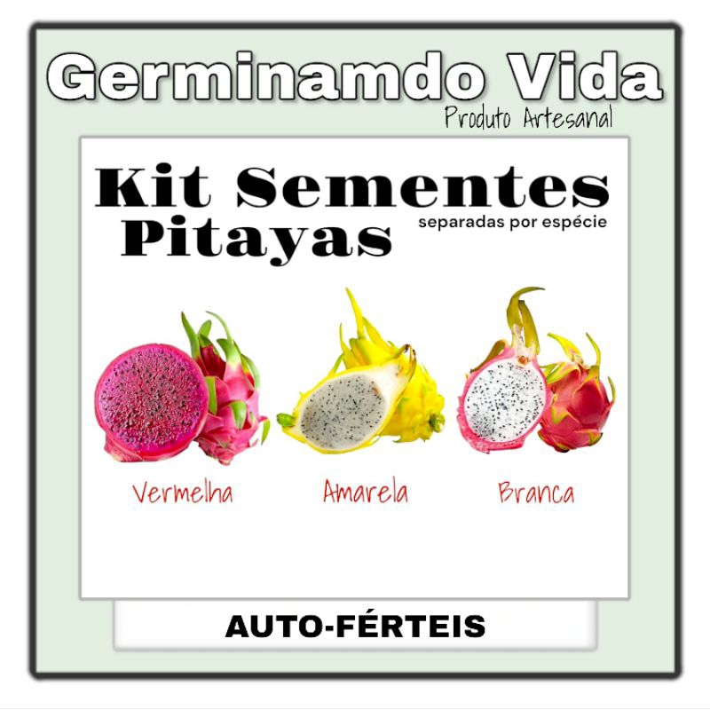kit Sementes Pitaya Para Plantio De Mudas - Vermelha + Amarela + Branca - Auto-férteis