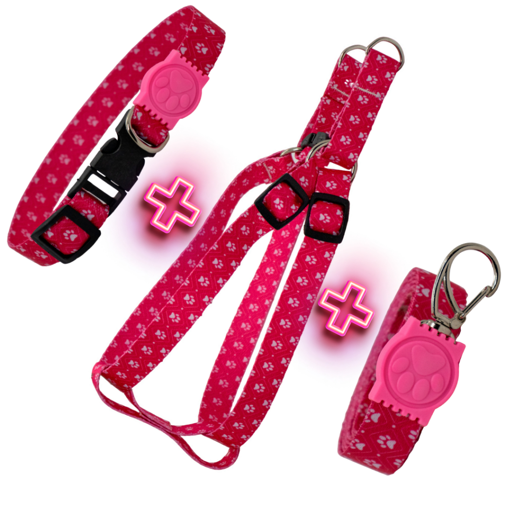 Coleira Peitoral para Cachorro e Gato Ajustável Kit Peitoral + Coleira + Guia em Oferta na Shopee