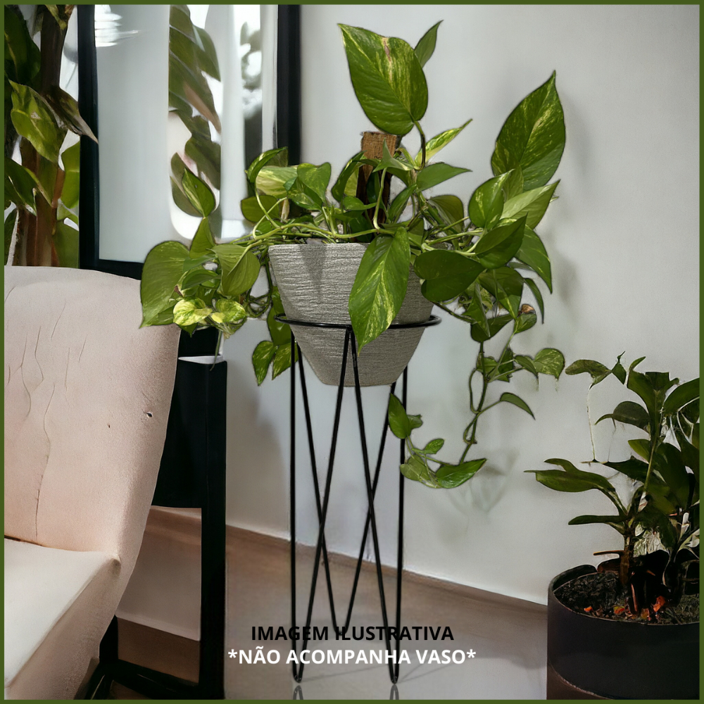 Suporte Vaso de Chão: Onde Comprar | BuscaProdutos