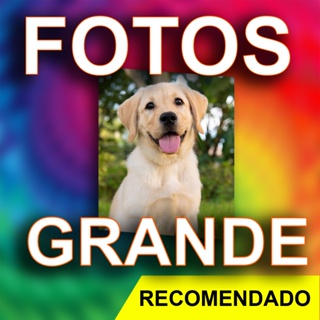 Impressão Fotos 24x30 - A4 - 20X25 - 20X30 - 24X30 - 25X25 - 30X40 - 30X48 - COUCHE LAMINADO em Oferta na Shopee