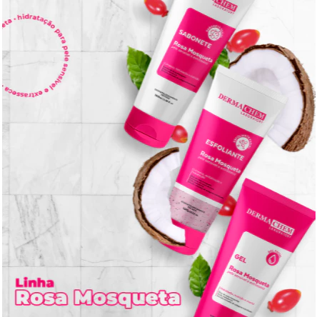 kit Completo Skin Care Rosa Mosqueta Sabonete Esfoliante Gel Hidratante
