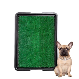 Sanitario Canino Xixi Pet Tapete Higiênico Grama Sintética em Oferta na Shopee