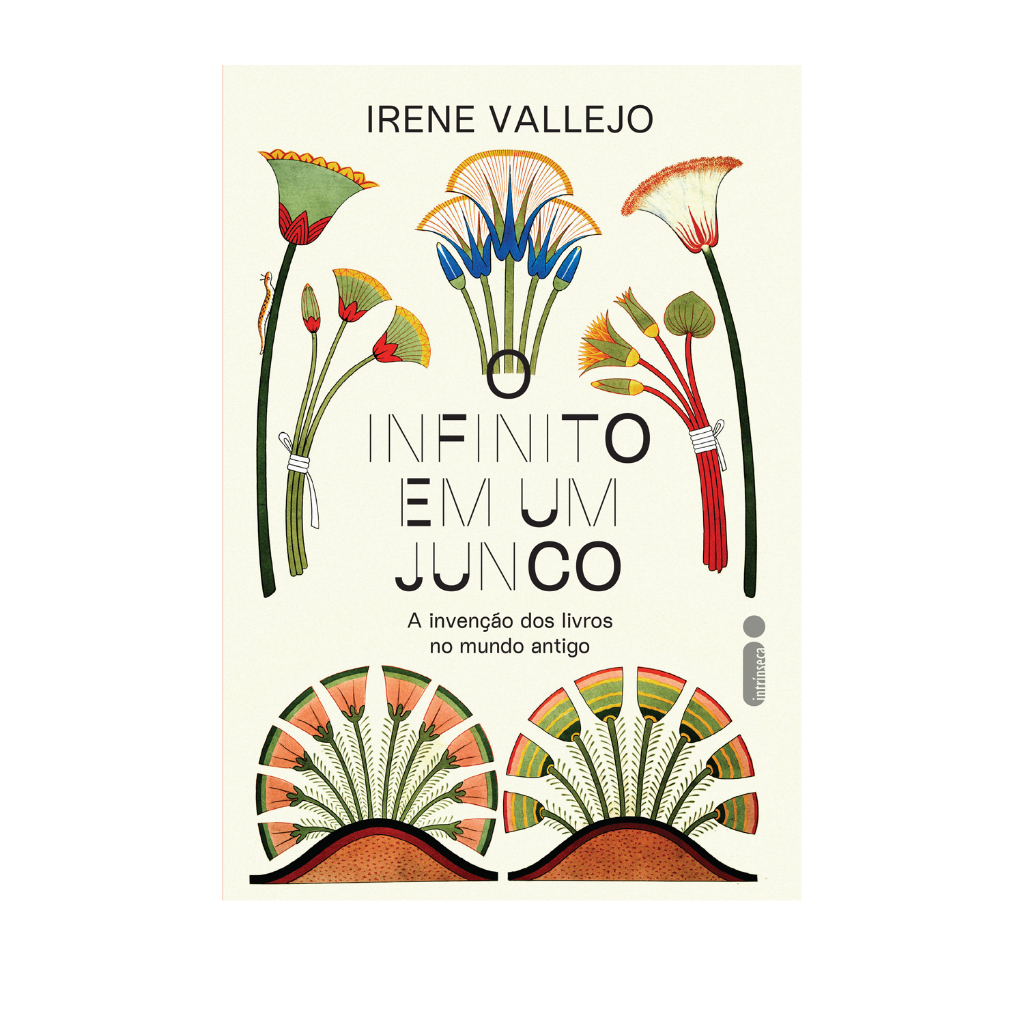 Livro O infinito em um junco: A invenção dos livros no mundo antigo, por Irene Vallejo - Intrínseca em Oferta na Shopee