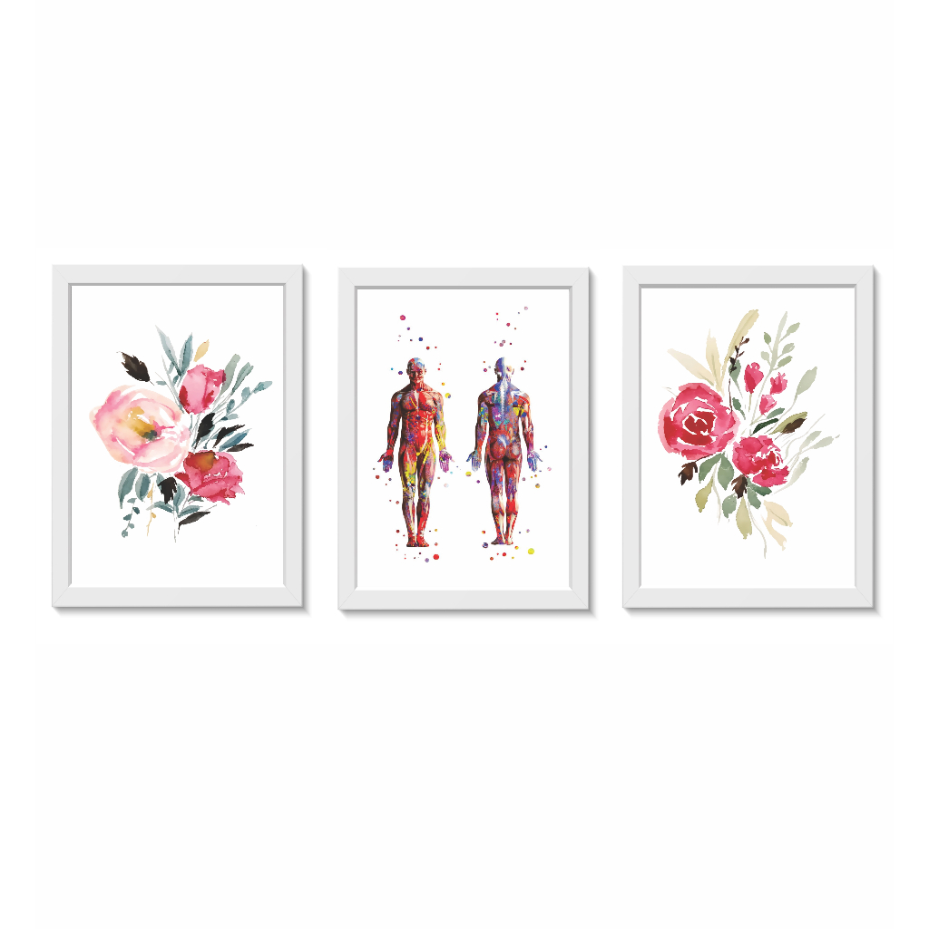 Kit 3 Quadros Decorativos Anatomia do Corpo Humano Medicina Consultório Moldura 20x30cm Madeira