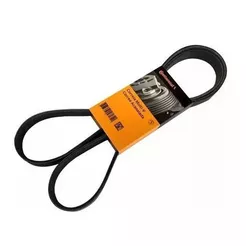 Correia Gir/Alt Poli V 6PK1715