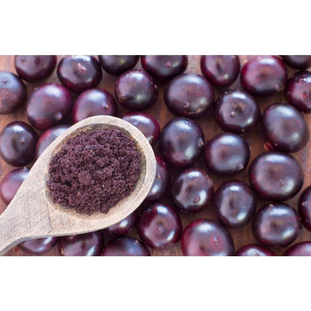 Açaí Powder: Guia Completo e Onde Comprar | BuscaProdutos
