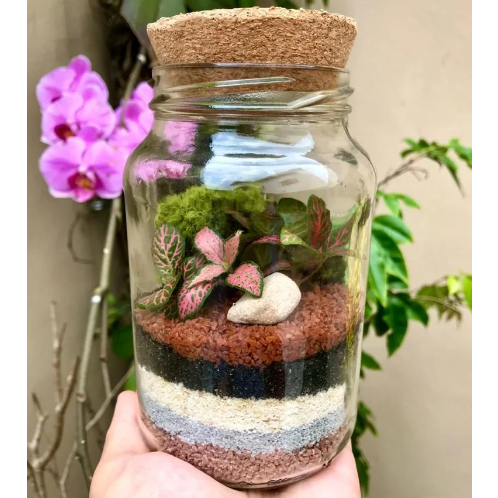 Kit terrário fechado DIY (Monte você mesmo em casa) - Presenteável