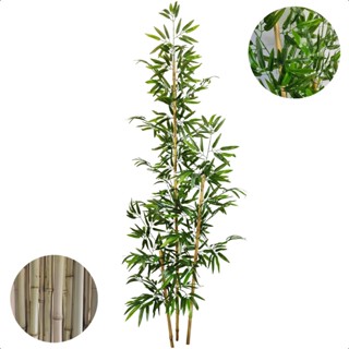 Bambu Artificial 2 Metros Grande Mosso Sem Vaso Decoração
