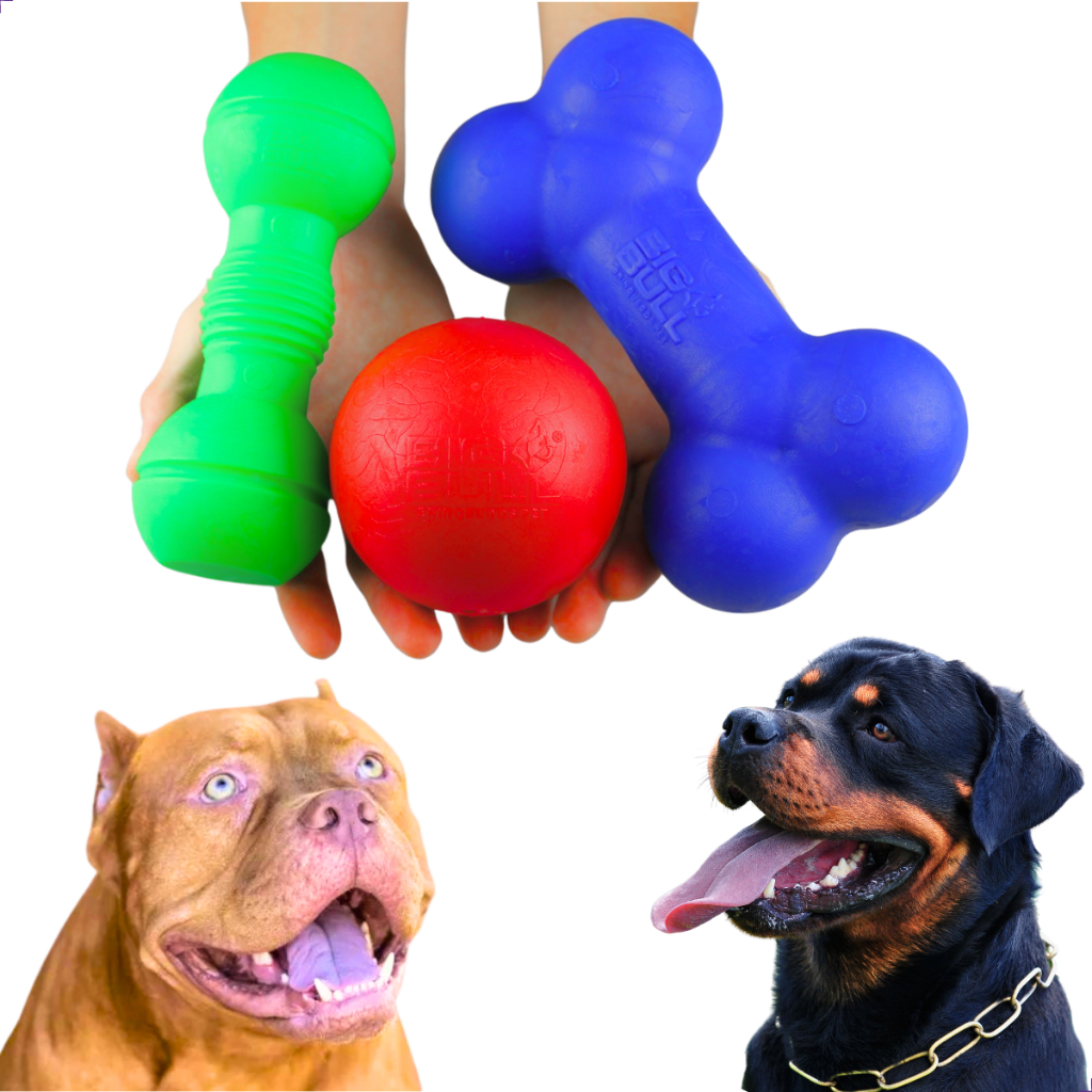 Brinquedos Interativos para Pitbull: Onde Comprar | BuscaProdutos
