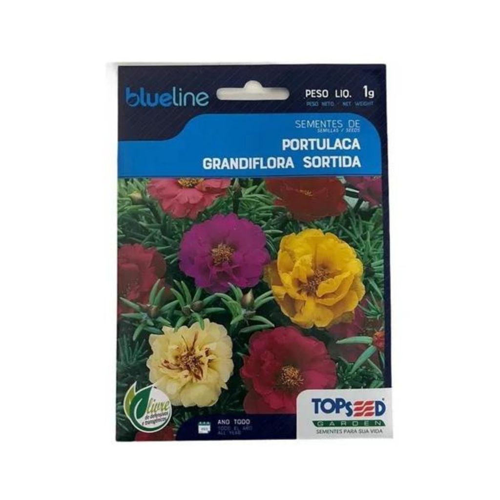 10.000 Sementes DE Flor Onze Horas Portulaca Cores Variadas - ONZE HORAS BLUE LINE (11195 - 02333)