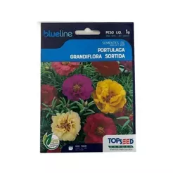 10.000 Sementes DE Flor Onze Horas Portulaca Cores Variadas - ONZE HORAS BLUE LINE (11195 - 02333)