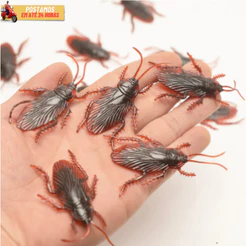 Brinquedo Barata Borracha Halloween Pegadinha Mágica Prenda Junina