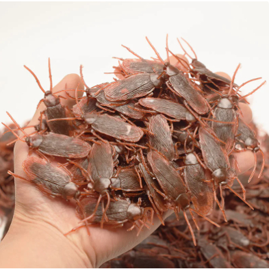 Brinquedo Barata Borracha Halloween Pegadinha Mágica Prenda Junina — imagem 2 de 2