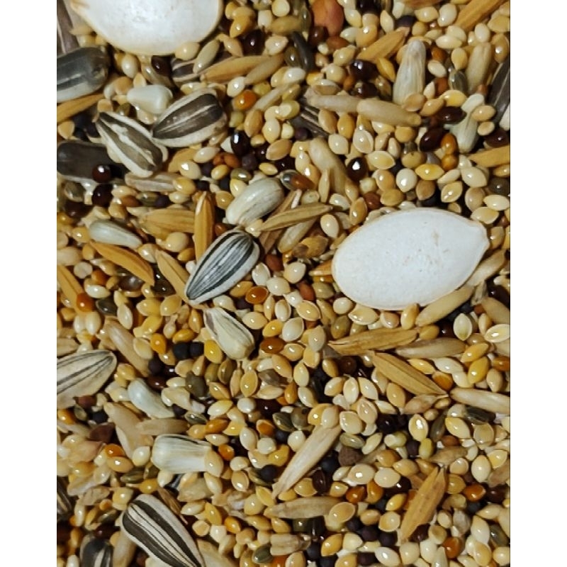 MISTURA PARA CALOPSITA (1Kg)