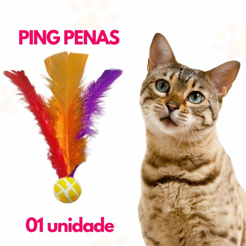 Bolinha pula pula brinquedo Pet com penas coloridas