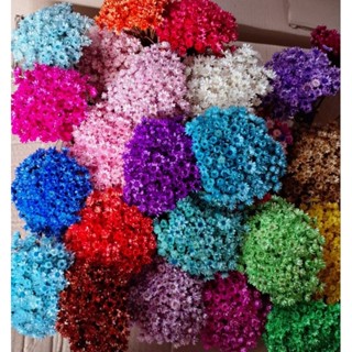Flor sempre viva Tipo 1 Extra, kit com até 1.200 flores secas selecionadas