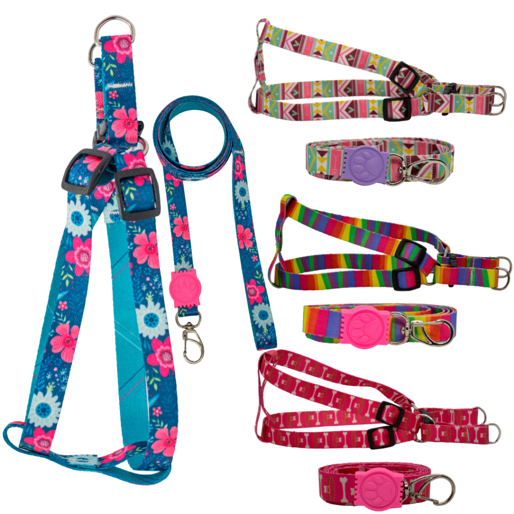 Peitoral Coleira De Cachorro Ajustável Pet Pequeno A Médio – Envio Imediato em Oferta na Shopee