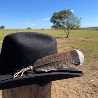Penas naturais para Chapéu Country em Oferta na Shopee