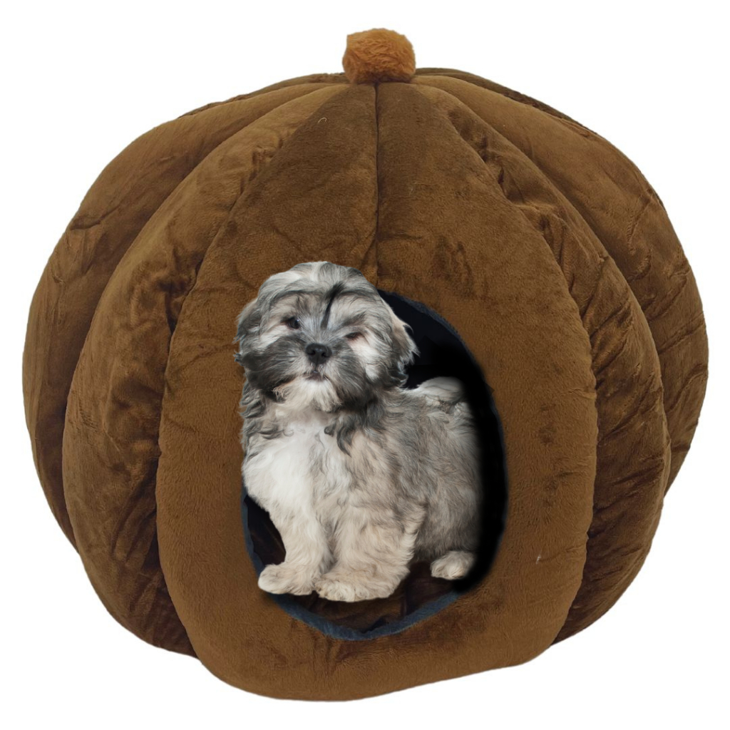 Cama Casinha Iglú Toca Pet Para Cães e Gatos C/ Almofada