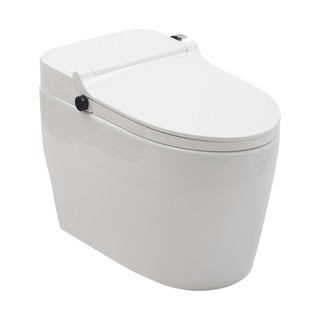Vaso Sanitário Monobloco Caixa Acoplada Privada Bidê Celestita Pingoo - Branco em Oferta na Shopee