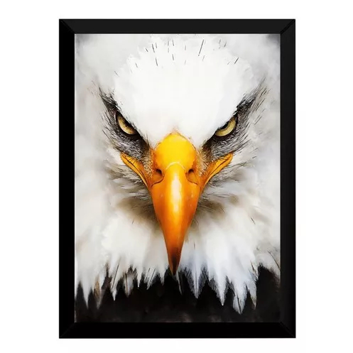 Arquétipo Águia: Onde Comprar | BuscaProdutos