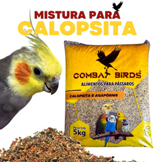 5kg Nutrição Premium Mix Sementes Balanceadas para Calopsita Óleo e Mel Combat Birds em Oferta na Shopee