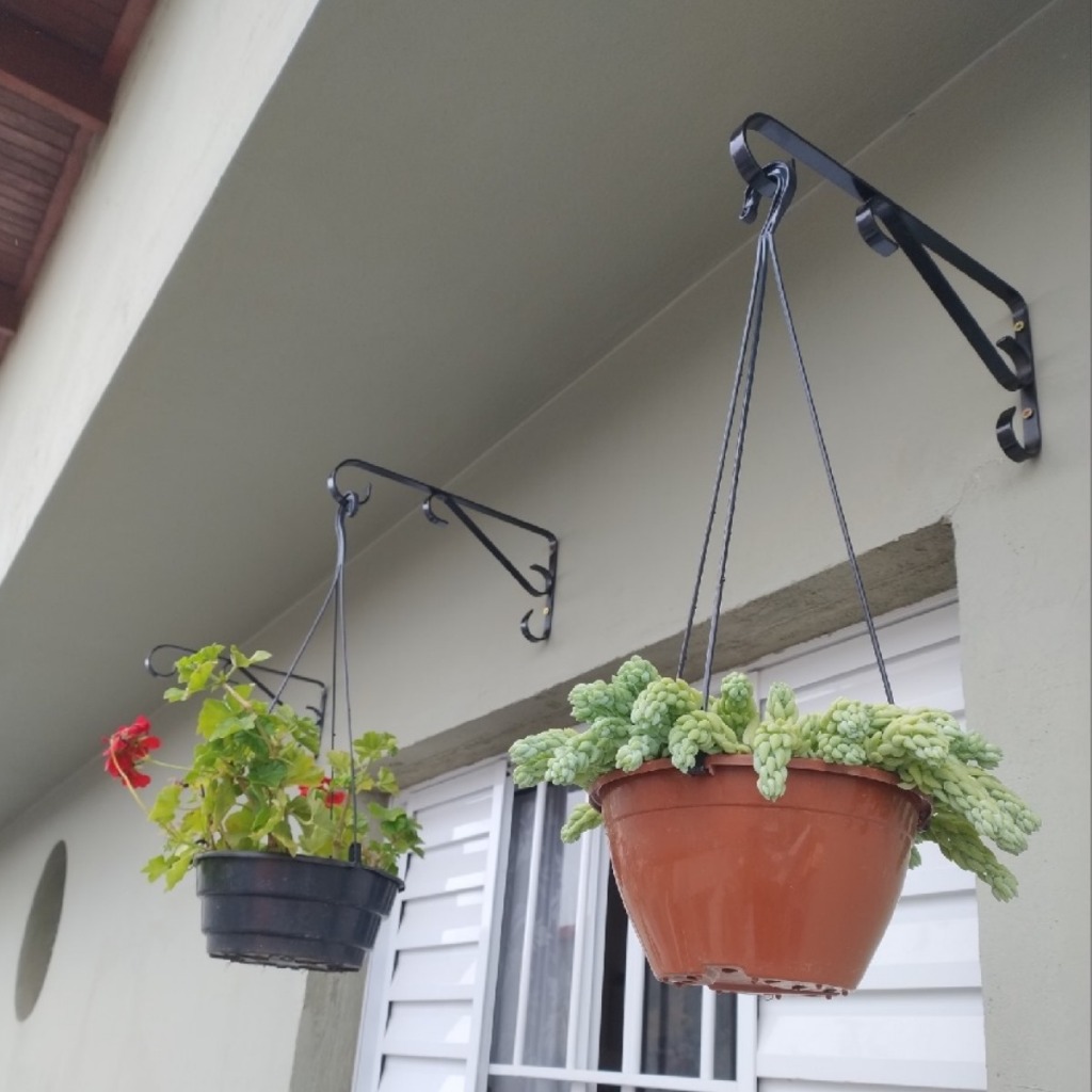 kit 3 suportes para plantas de parede na cor preta 30x15 em Oferta na Shopee
