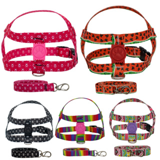 Coleira Peitoral Ajustável + Guia Com Base Giratória 1 Metro – Lhasa Shitzu Pinscher Lulu em Oferta na Shopee