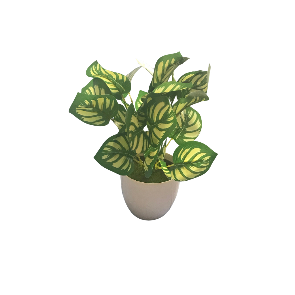 Folhagem maranta pavão ou manjericão artificial em vaso plástico com grama artificial