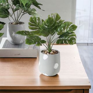 KIT 2 Mini Folhas De Costela De Adão Artificial Decoração Para Arranjo em Oferta na Shopee