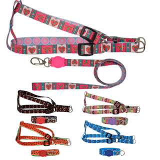 Peitoral Coleira Ajustável para passeio de Cachorro Seda Importada – Envio 24H em Oferta na Shopee