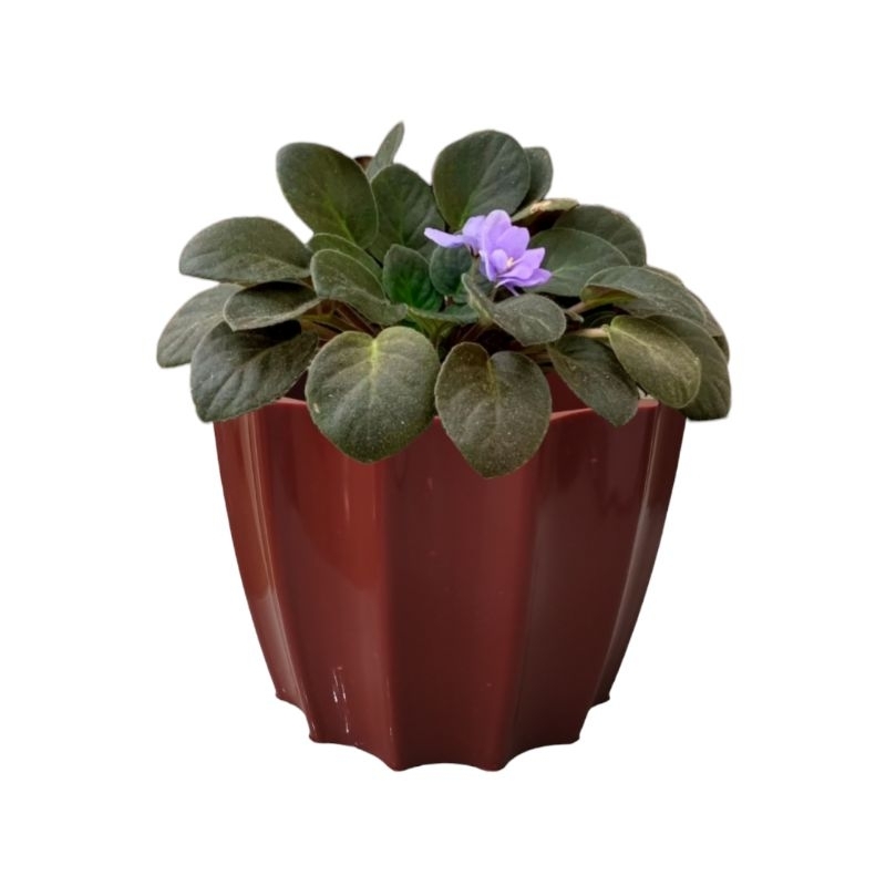 Vaso  Decorativo para Plantas  Cachepô Resistente Polietileno Injetado estilo Fibra de Vidro