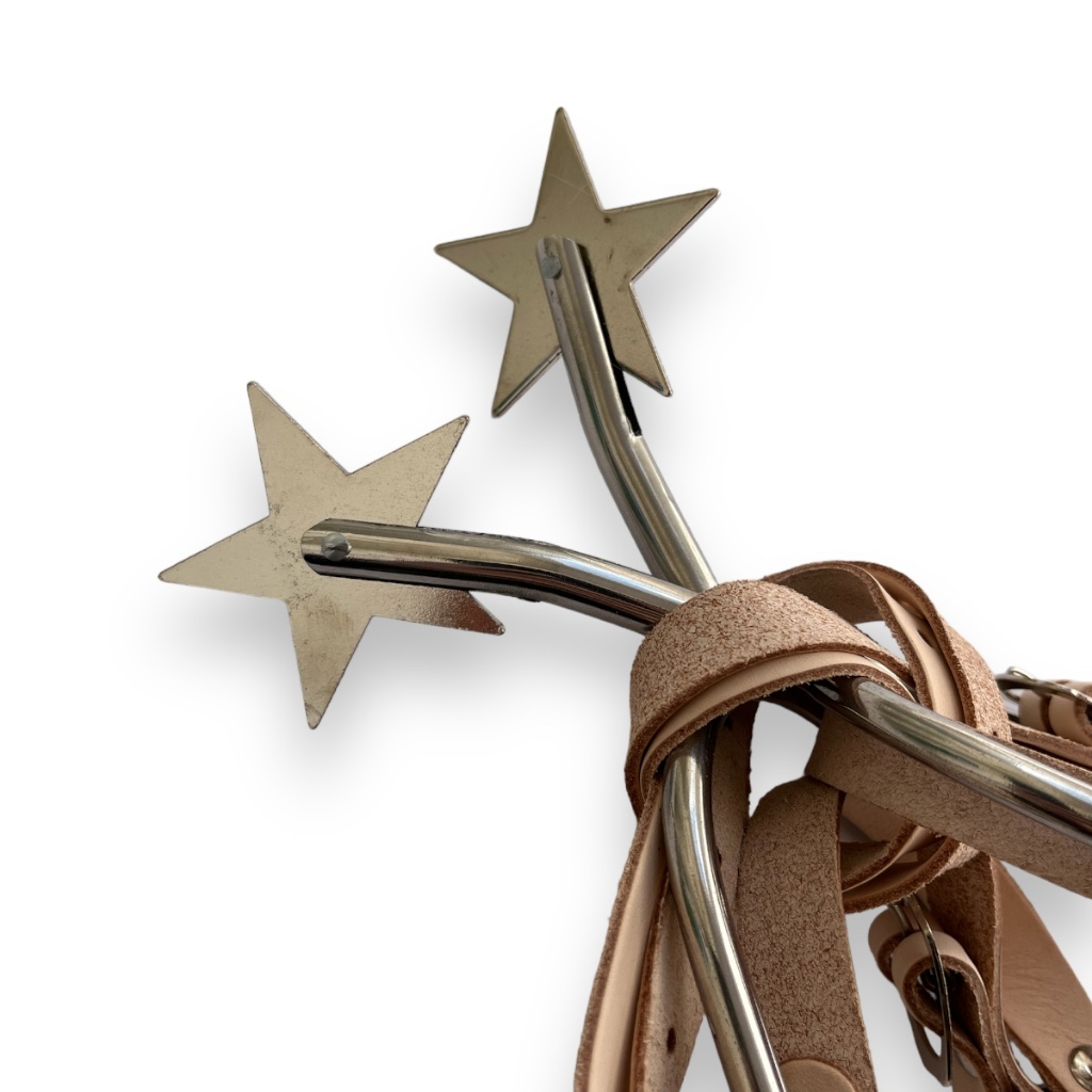 Par de Espora 5 Bicos Inox com Correias em Oferta na Shopee