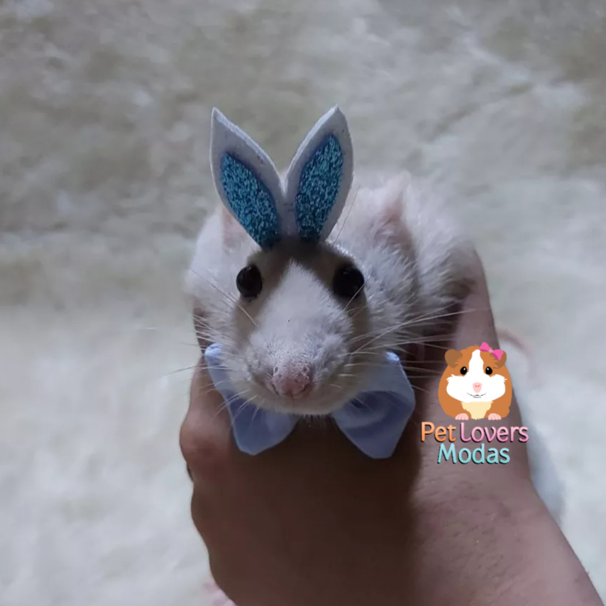 O que é Rato Twister Macho? Guia e Onde Comprar | BuscaProdutos