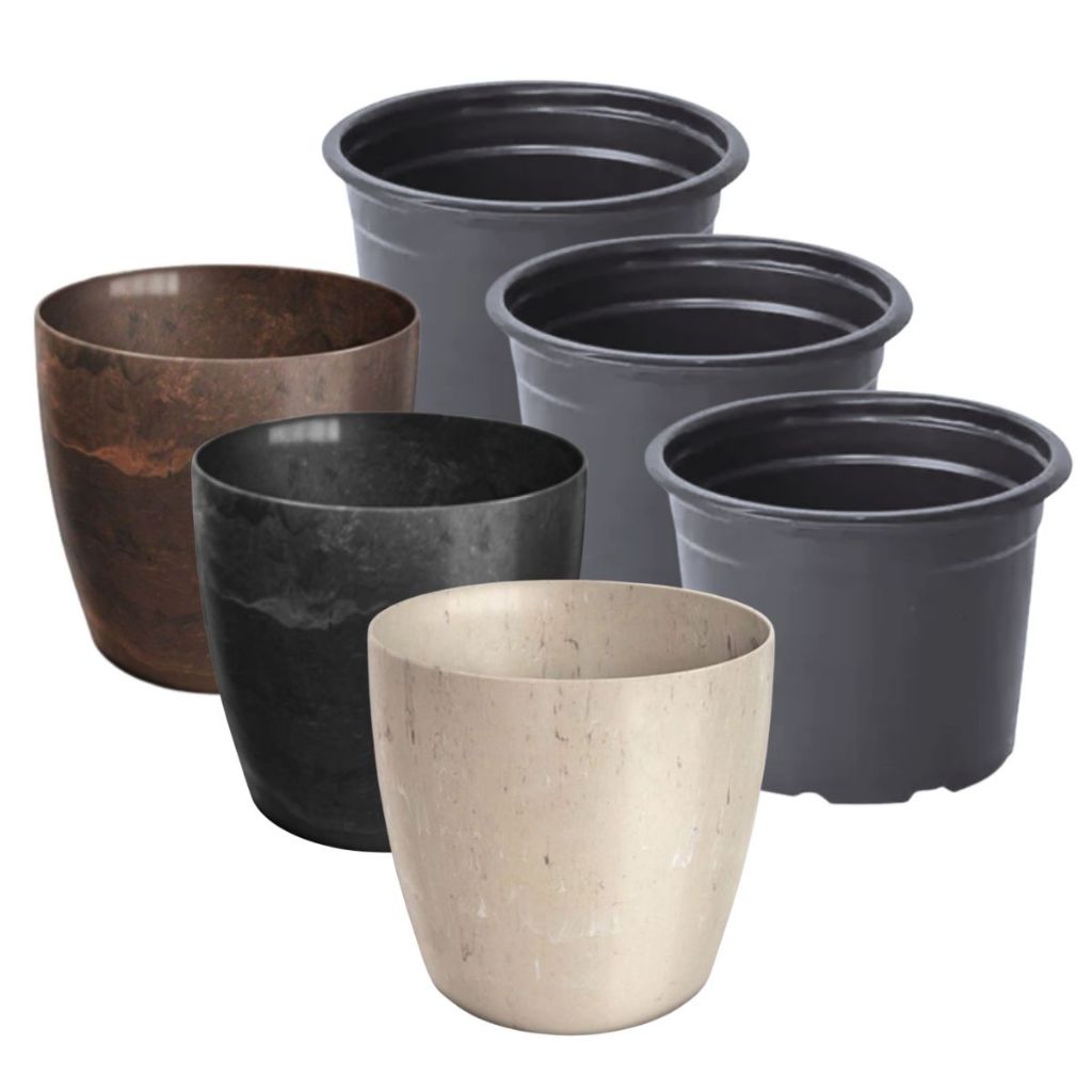 Kit 6 Mini Cachepô Elegance Pequeno 90ml Cachepot Para Cacto e Suculenta + 6 Vaso Vasinho Pote NP06 Preto - Nutriplan