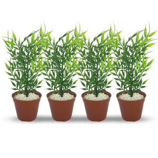 4 Arranjos Vasinhos Decorativos Terracota com Planta Artificial Realista em Oferta na Shopee