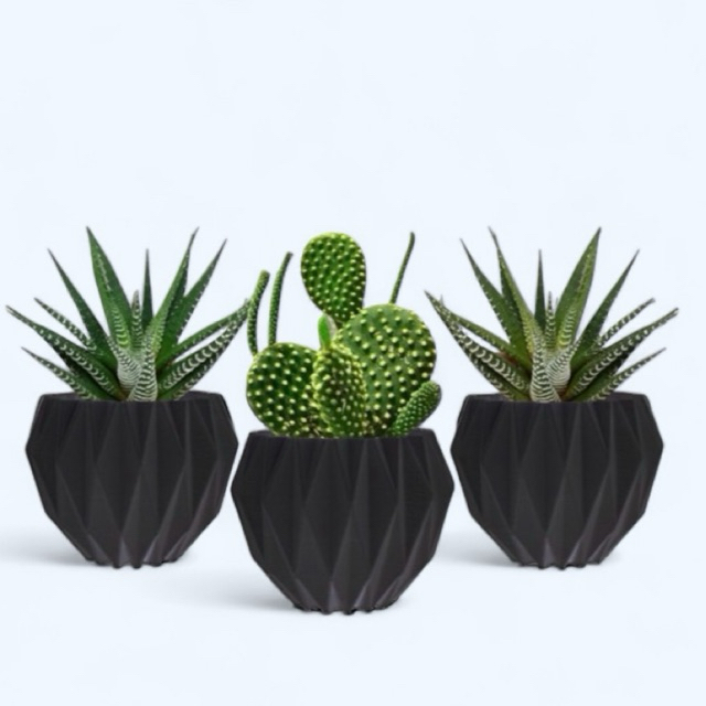 Kit com 3 Vasos Cachepot Decorativos para Suculentas e Cactos