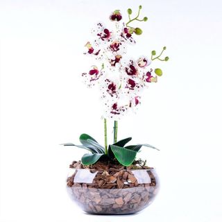 Orquídea Galho Haste Flores Pintada Decoração