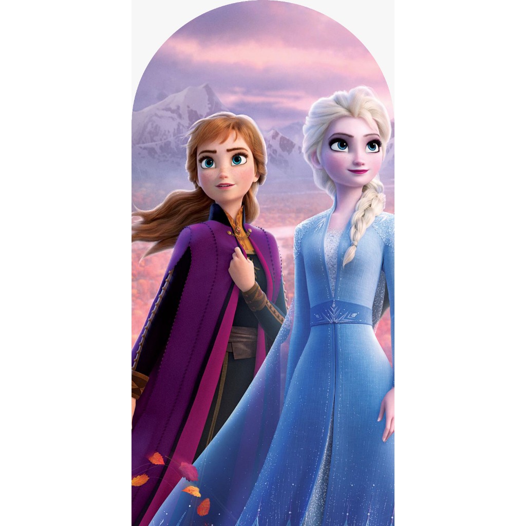 PAINEL ROMANO TECIDO SUBLIMADO FROZEN 1,00(L) X 2,00(A)