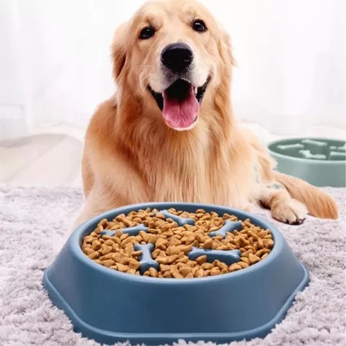 Detalhes do Comedouro Lento Inibidor De Ansiedade Caes Cachorros Interativo Educador Anti-Stress Adestramento