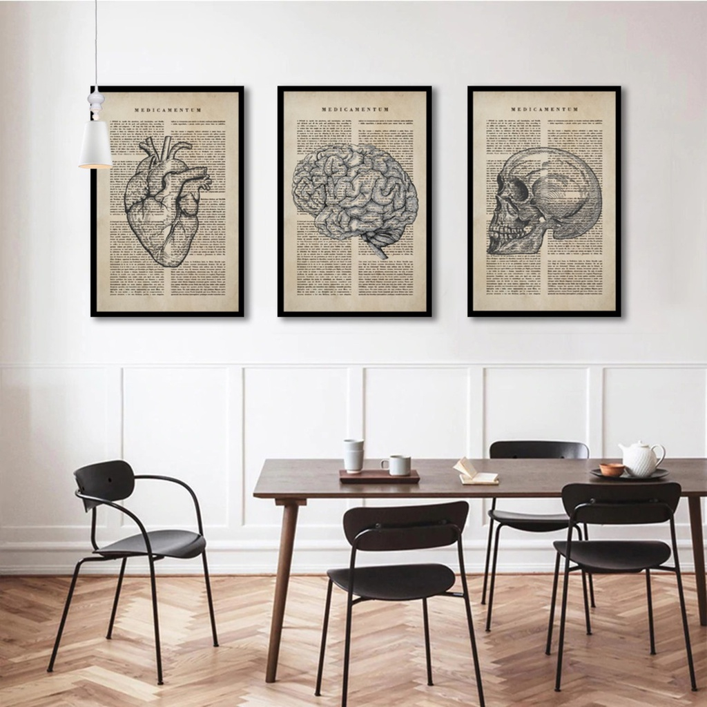 Quadro Decorativo Medicina Consultório Cérebro Coração Crânio Esqueleto Decoração Escritório Médico Vintage Lindo Jornal Antigo