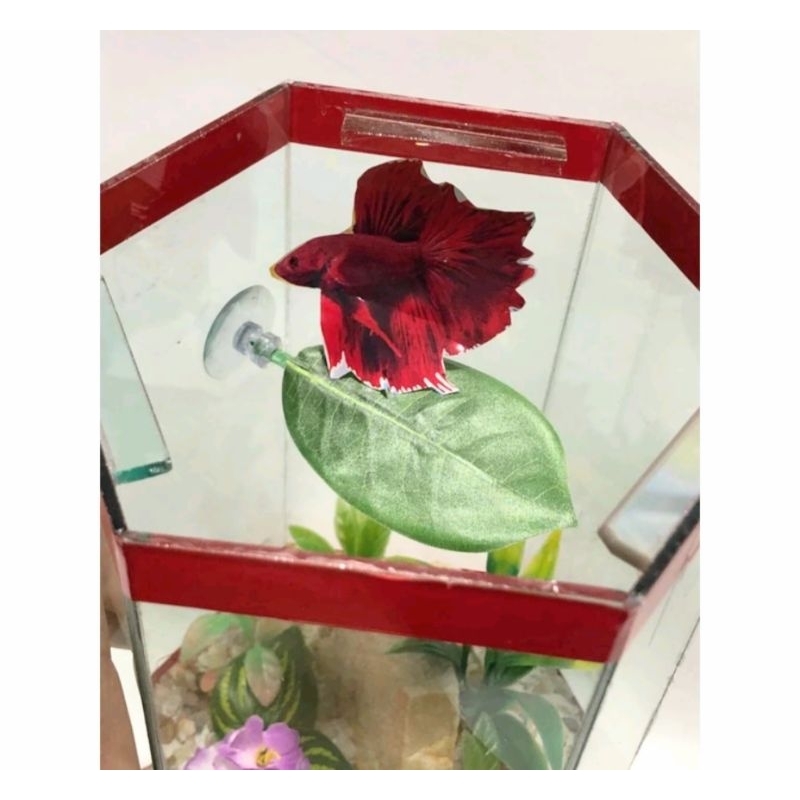 Folha de descanso cama para betas peixes Bettas aquários beteira decorativo planta artificial